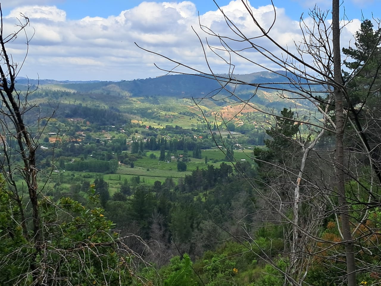Centro Cultural Kayumanque celebró Día de los Cerros en Quillón